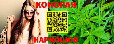 крисы Аргун