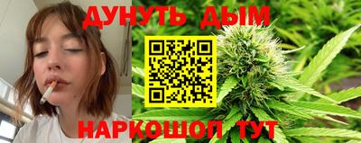 крисы Аргун