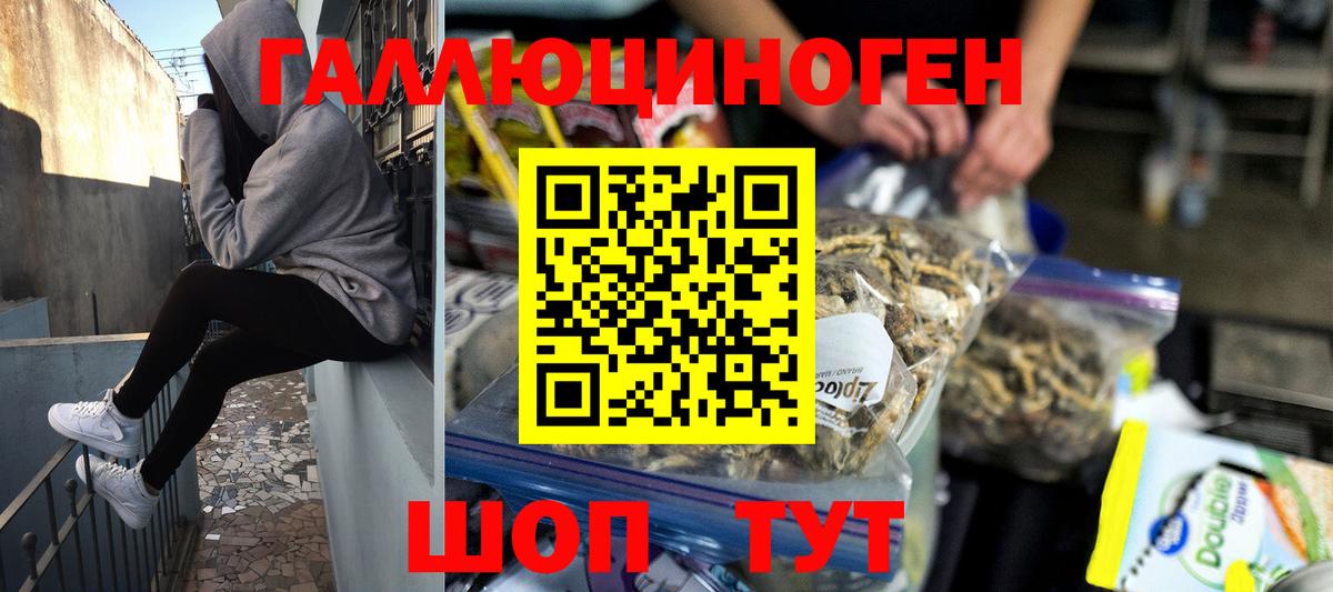 Белебей  Псилоцибиновые грибы GOLDEN TEACHER  Вход с VPN 